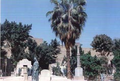 cimitero copto